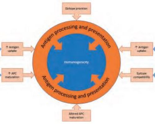 early interventions to reduce