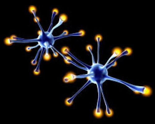 stem cell based